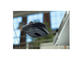 Мишки Logitech Anywhere Mouse MX Refresh