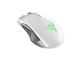 Мишки Razer Lancehead Tournament Ed. Mercury Ed.