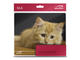 Падове Speedlink SILK, Cat