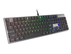 Клавиатури Genesis THOR 420 RGB Slim Blue Switch US Layout
