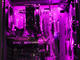 G:RIGS G:RIGS > Pavel Kolev & Icaka - Igrachi (Intel)