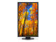 Монитори NEC MultiSync EA224WMi