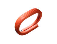 Смарт гривни Jawbone UP24 wristband Medium (15.5-18 см)