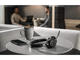 Слушалки Jabra Evolve2 65 Link380c MS Stereo Black