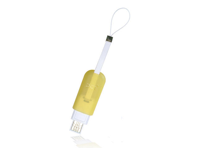 USB памети Преносима памет 2GB USB PQI i161