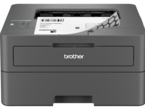 Принтери Brother HL-L2442DWYJ1