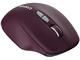 Мишки Canyon MW-21 CNS-CMSW21BR