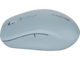 Мишки Canyon MW-12 Blue