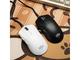 Мишки VGN F1 PRO MAX DRAGONFLY - 1K (4K compatible), Kailh Black Gold Mamba Switches, White