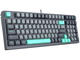 Клавиатури A4tech Fstyler FGS300 Panda Rock