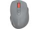 Мишки Canyon OnClick 20, CNE-CMSW20DG