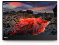 Монитори Lenovo ThinkVision M14t Gen 2