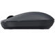 Мишки Xiaomi Wireless Mouse Lite 2, Black