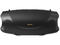 Колони Hisense FlexBoom, Black